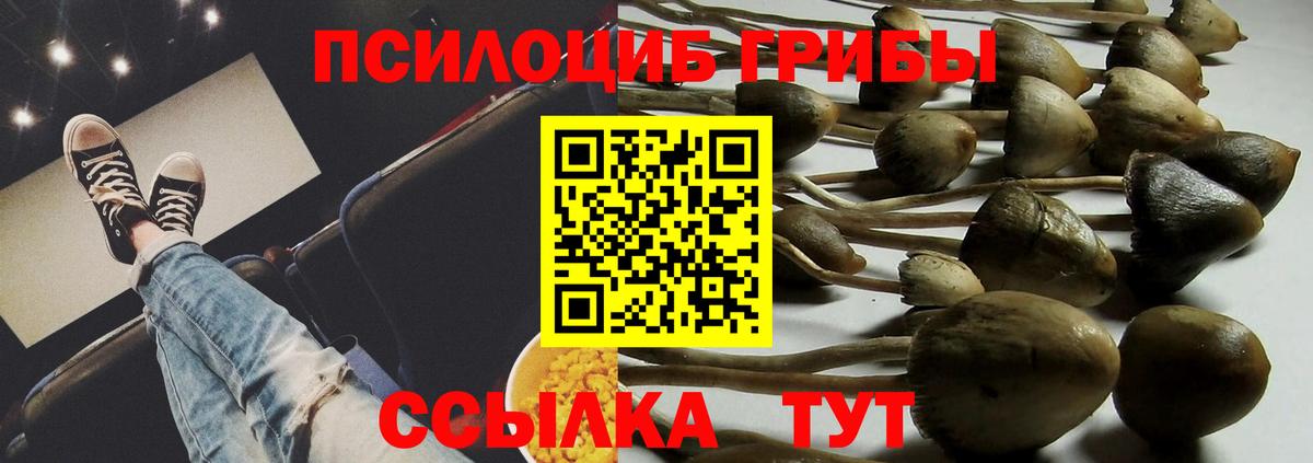 Псилоцибиновые грибы Magic Shrooms Щёлково