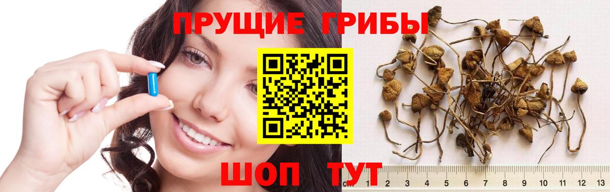 Щёлково  Псилоцибиновые грибы ЛСД  Вход с VPN 